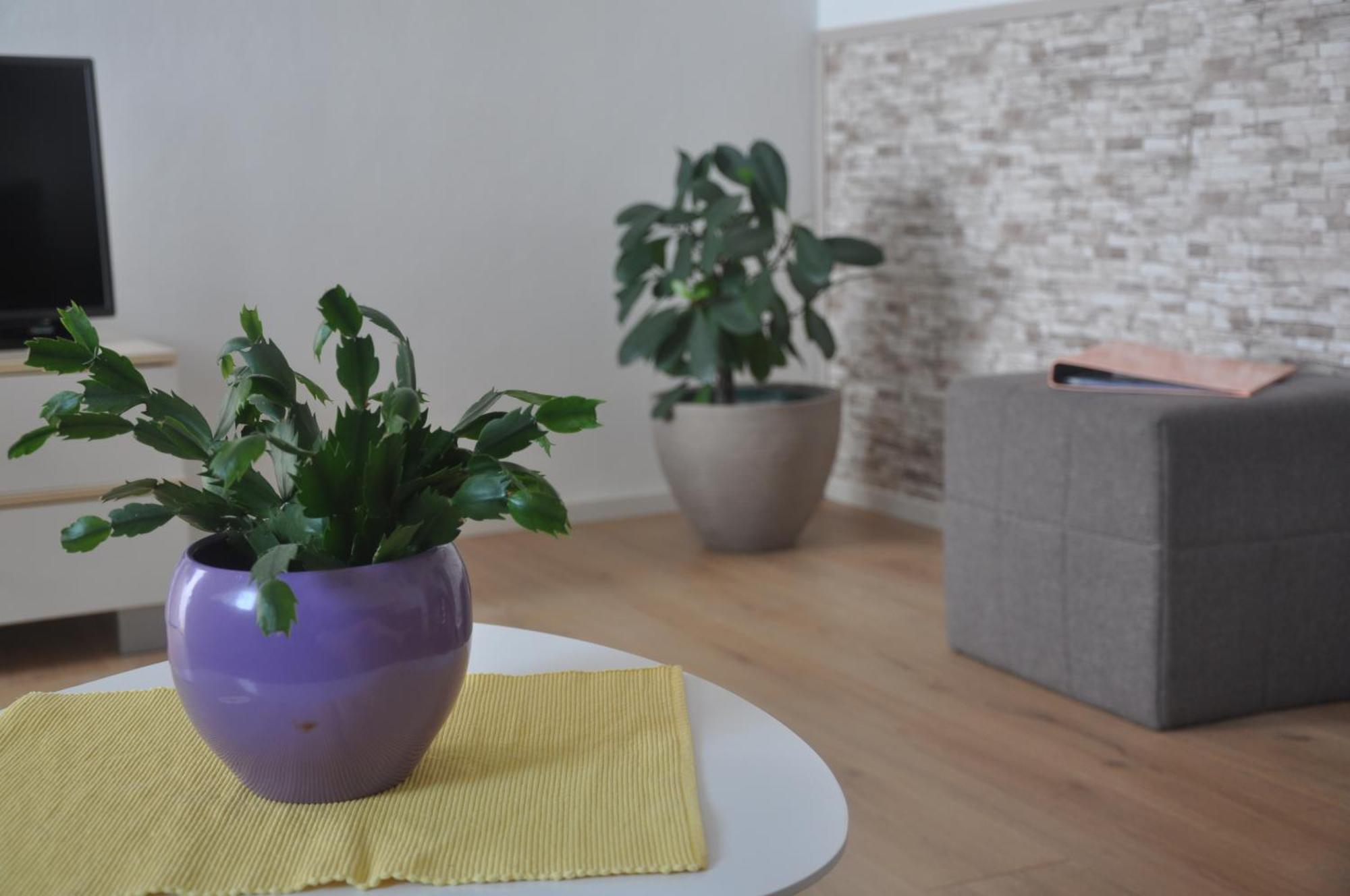 Apartman Mirna Rovinj Exteriör bild